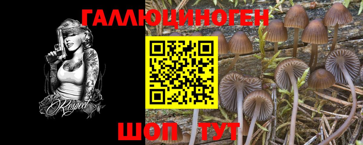 Псилоцибиновые грибы Cubensis  Псилоцибиновые грибы Magic Shrooms  Вход с VPN  Алексеевка 